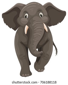 Wild elephant on white background illustration