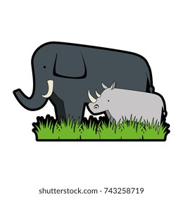 wild elephant and rhino