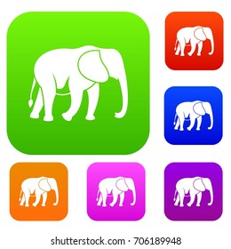 Wild elephant set icon in different colors isolated vector illustration. Premium collection