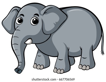 Elefante salvaje de pie sobre ilustración de fondo blanco
