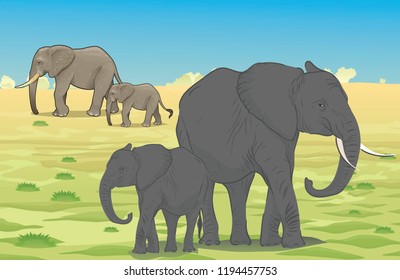 Wild elephants in Africa drawn by illustrator 
