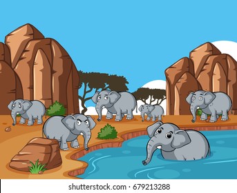 Wild elephants living by the pond illustration