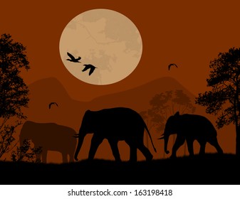 Wild elephants over red sunset, vector illustration