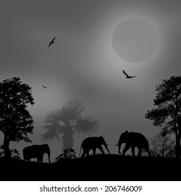 Wild elephants at sunset on black and white, vector illustration