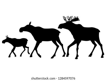 Wild elk family on a white background