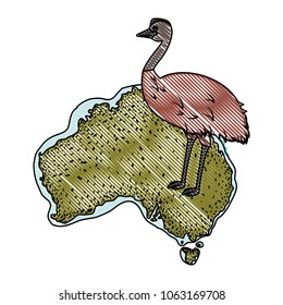 wild emu bird over australian map