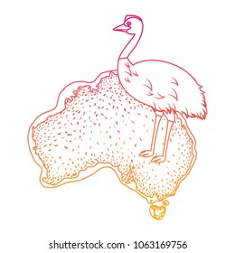 wild emu bird over australian map
