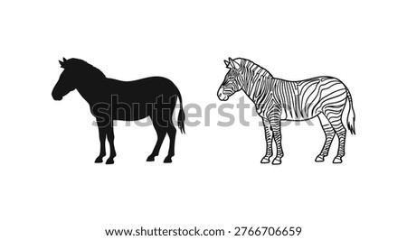Wild Equines: Horse vs Zebra Distinctive Features Guide Vector