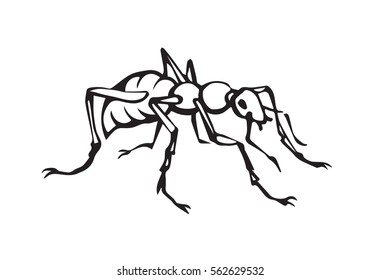 Wild eusocial Formicidae. Linear ink drawn picture sketchy in scribble retro style pen on paper. Close-up detail micro view