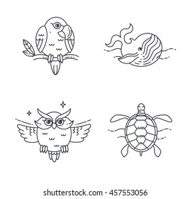 Wild exotic animals line icons set. Vector Parrot, Owl, Wheel and Turtle.