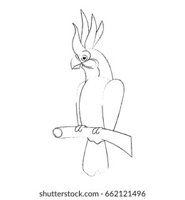 Wild exotic bird