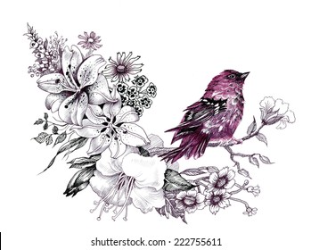 Wild exotic bird on twig vector illustration