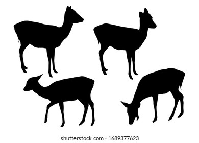 Wild fallow deer silhouettes set isolated