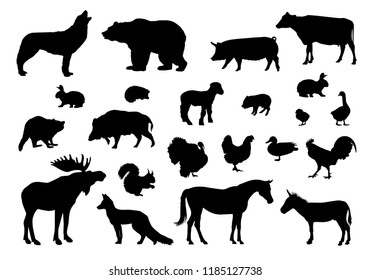 wild and farm animals
