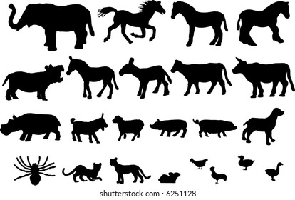 Wild and farm animals high detail vector