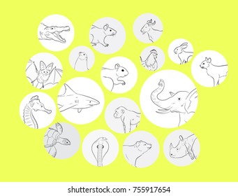 Wild and Farm Animals Profile Pictures Vector Illustration