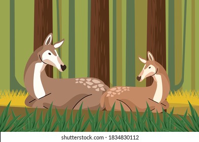wild fawns animals in the forest scene vector illustration design