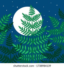 Wild fern on the background of the night sky.