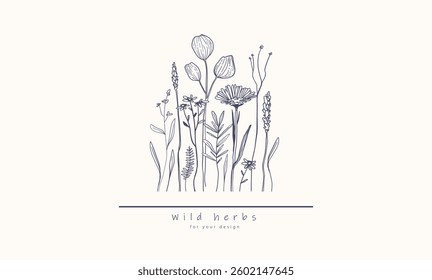 Wild field flora, herbs, flowers, leaf branches Botanical hand drawn line art design, Minimal elegant style organic illustration for logo, wedding, invitation, label, banner, print, decor, cosmetics