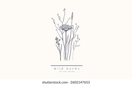 Wild field flora, herbs, flowers, leaf branches Botanical hand drawn line art design, Minimal elegant style organic illustration for logo, wedding, invitation, label, banner, print, decor, cosmetics