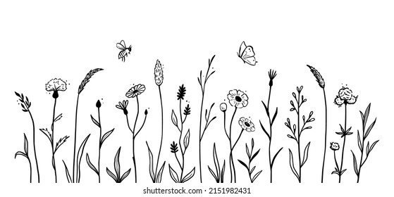 Wild field flower line set. Hand drawn doodle sketch style wild floral element for nature spring background. Flower, garden grass field outline vector illustration.