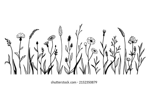 Wild field flower line set. Hand drawn doodle sketch style wild floral element for nature spring background. Flower, garden grass field outline vector illustration.