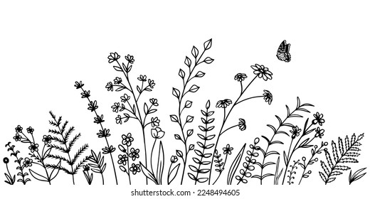 Wild field flowers. Hand drawn doodle sketch style wild floral element for nature spring background with butterfly