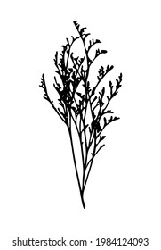Wild field flowers leaves outline vector silhouette drawing illustration.Herbal Bouquet. Gypsophila. Herb plant stencil image.Floral print.Plotter laser cutting.Vinyl wall sticker decal.Tattoo.Decor.