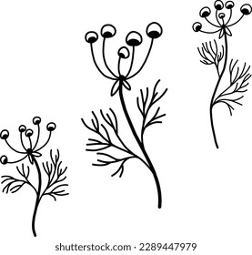 Wild field herbs, hand drawn minimalistic doodle drawing, graceful plants