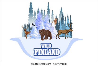 Wild Finland with wild animals,Vector Finland winter forest  with bear, reindeer and elk