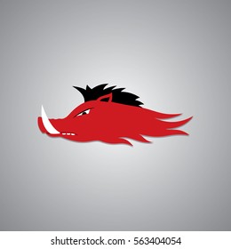 Wild Fire Hog head Mascot, sport team logo