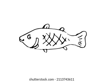 Wild fish. Aquatic animal character. Underwater world. Outline sketch. Hand drawing is isolated on a white background. Vector.