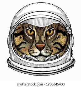 Wild fishing cat portrait. Animal face. Astronaut animal. Vector portrait. Cosmos and Spaceman. Space illustration about travel to the moon. Funny science hand drawn illustration.