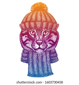 Wild fishing cat. Ski, skier animal wearing woolen knitted hat. Christmas time. Cartoon character for little children. Kids print for shirts. Nursery decor.