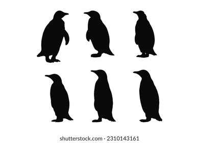 Wild flightless bird silhouette bundle design. Cute penguin standing silhouette set on a white background. Herbivorous penguins standing in different positions. Penguin full body silhouette collection