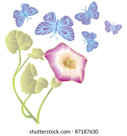 wild flower with blue butterfly