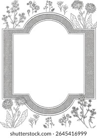 wild flower botanical border and frame