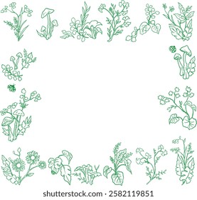wild flower botanical border and frames
