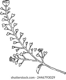Wild flower branch hand drawn illustration.