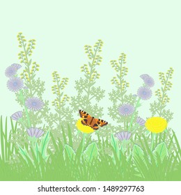 Wild flower and butterfly summer composition