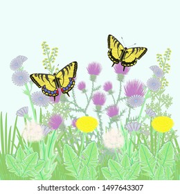 Wild flower and butterfly summer composition
