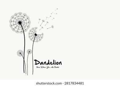 Wild flower Dandelion for background, dandelion flying wall decal children's room 
