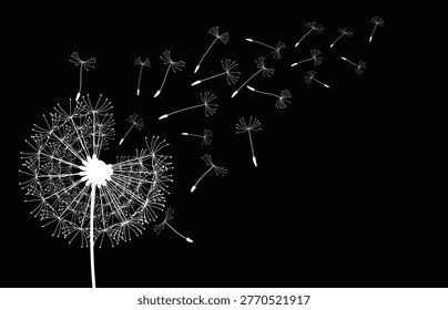 Wild flower dandelion with free space for text.  Vector flower for background, dandelion flying wall decal children's room 