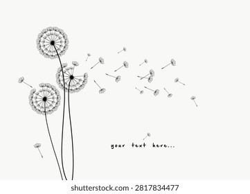 Wild flower dandelion with free space for text.  Vector flower for background, dandelion flying wall decal children's room 