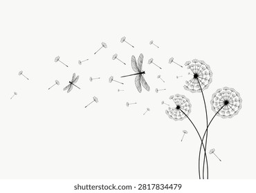 Wild flower dandelion with free space for text.  Vector flower for background, dandelion flying wall decal children's room 