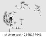 Wild flower dandelion in a vector style isolated. Vector flower for background, dandelion flying wall decal children