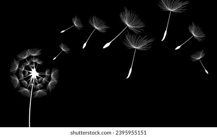 Wild flower dandelion in a vector style isolated. Vector flower for background, texture, wrapper pattern, frame or border.