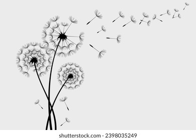 Wild flower dandelion in a vector style isolated. Vector flower for background, texture, wrapper pattern, frame or border.