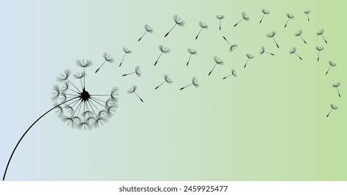 Wild flower dandelion in a vector style isolated. Vector flower for background, dandelion flying wall decal children's room 