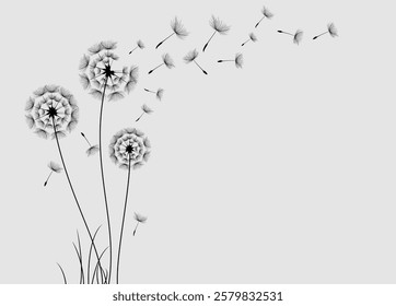 Wild flower dandelion in a vector style isolated. Vector flower for background, dandelion flying wall decal children's room 